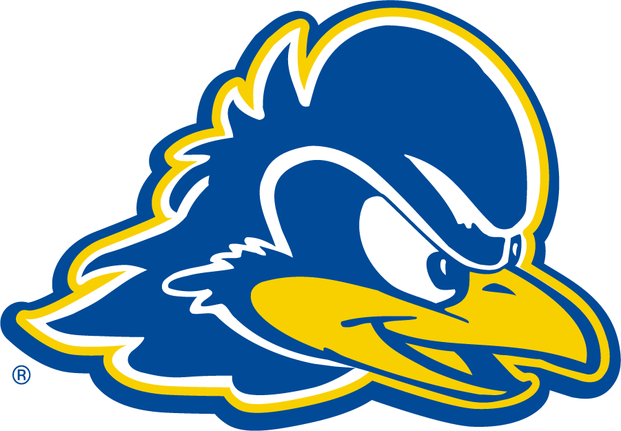 Delaware Blue Hens 2009-2018 Secondary Logo v2 iron on transfers for clothing